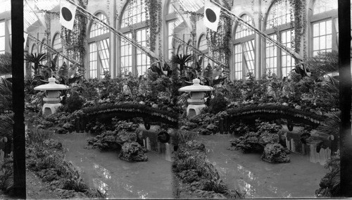 Bridge, Japanese Department, Horticultural Hall, Columbian Exposition