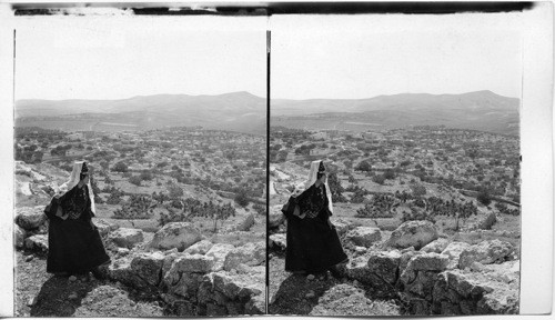 Hills and fields of Judea, N. from Bethlehem showing road to Jerusalem, Palestine