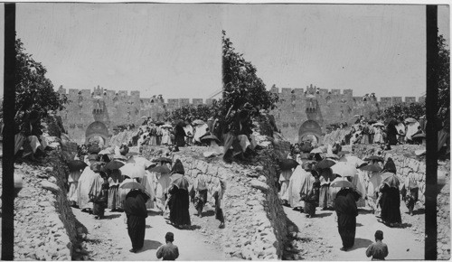 Gate of St. Stephen, from Outside Jerusalem, Palestine