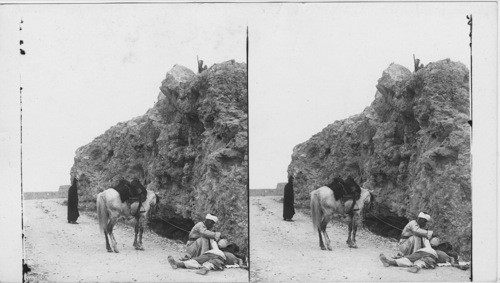 The Good Samaritan on the road to Jericho, Palestine