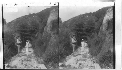 Philippine Islands. Road Leading to Ridge Where Hospital Is Located. Corregidor Isl. Manila Bay