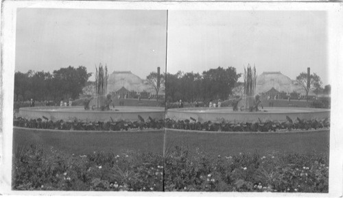 The Dolphin Fountain and Conservatory, Lincoln Park, Chicago