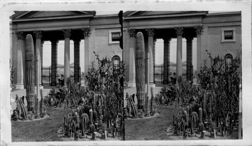 Entrance and Cactus, Shaw's Garden, St. Louis, Missouri