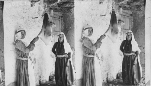 Young Druse women on Mt. Carmel. Palestine