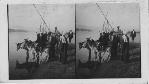 Typical Group of Donkey Boys and mounts on the Bank of the Nile, near Thebes, Egypt