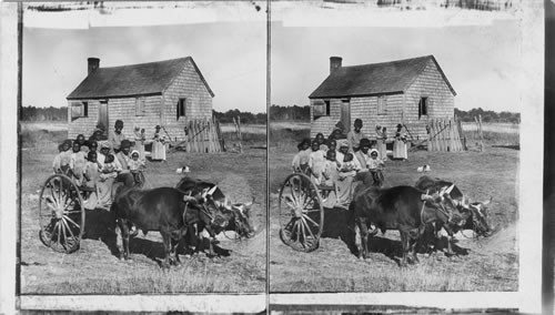 Rapid Transit in southern Mississippi. [ox and cart]