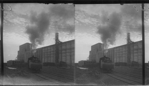 Richardson Elevator (S.W.) Port Arthur. Ont