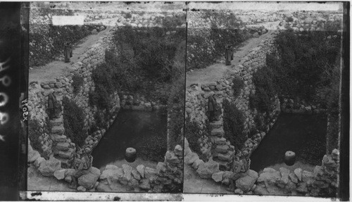 Palestine. The Upper Pool of Siloam, outside Modern Jerusalem, at the foot of Ophel