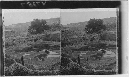 Old Pool of Siloam, Jerusalem, Palestine