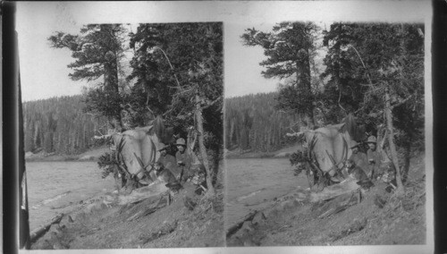 A primitive camp, elk hunters in N.W. Wyoming. U.S.A. [Harry Angelo, Will Angelo, Brooks Lake, 1901. Broadman party. 1/18/85 JBM]