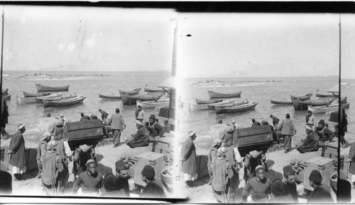 Landing at Jaffa Palestine