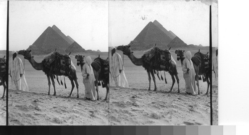 The Pyramids at Giza from the south - Egypt