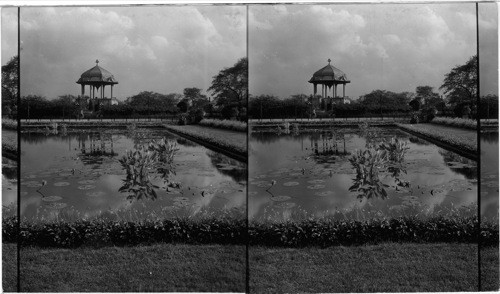 Lily Pond in Garfield Park, Chicago, Ill