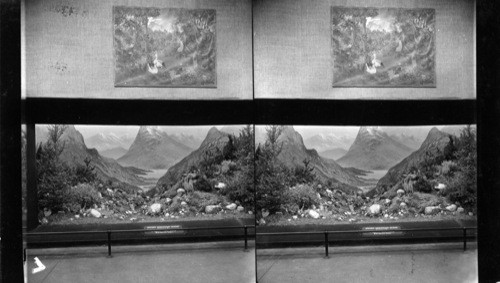 Swiss Mountain Scene Diorama, Horticulture Exhibit, A Century of Progress, Chicago, Ill