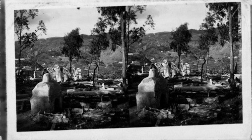 El Ketar Arab Cemetery and Funeral Procession, city of Algiers, Algeria