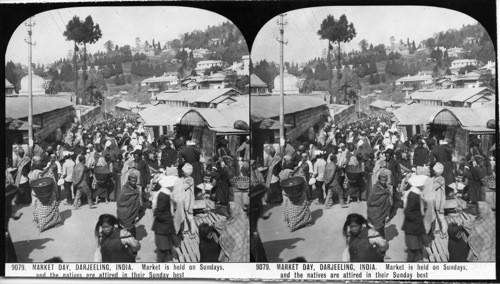 Inscribed in recto: 9079 MARKET DAY, DARJEELING, INDIA. Market is held on Sundays, and the natives are attired in their Sunday best