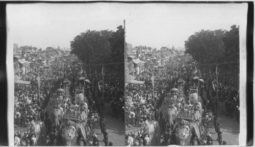 Marvels of richness and grandeur - The great Durbar procession. India