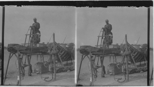 Sawing Wood. A boat builder. Egypt