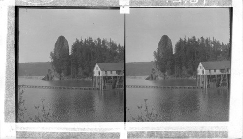 Rooster Rock and Salmon Cannery, Columbia River, Washington