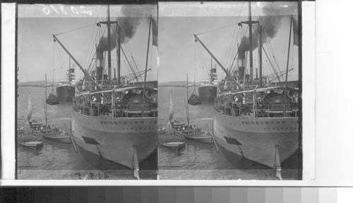 Loading bananas on ship in harbor, Santos, Brazil