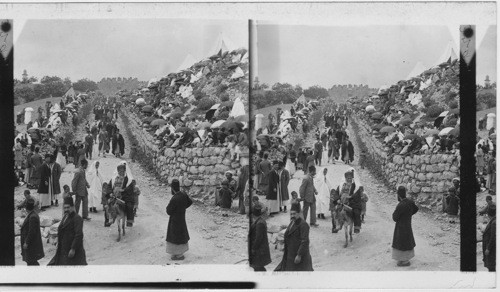 Moslems welcoming pilgrims from Mecca, Jerusalem, Palestine