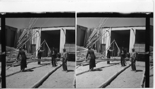 129 Wood in Iran is so scarce that it is being sold by weight