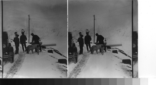 Simplon pass (Nov. 3, 1930). Switz-Italy