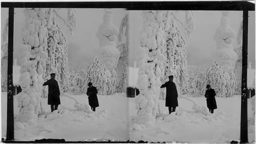 Prospect Park in Winter, N.Y. - Niagara Falls