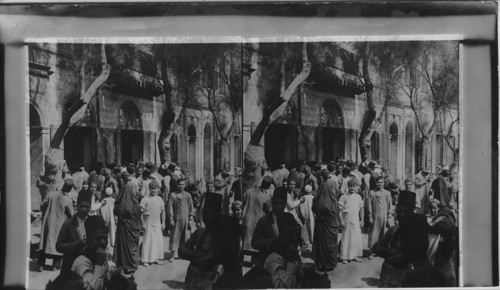 A street scene in the Cosmopolitan Alexandria, Egypt