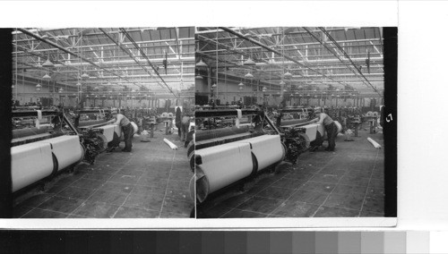 Randallstown: the weaving department of old bleach linen company--one of the rooms where various types of fabric are woven. One of the best-known and oldest of Ireland's linen industry, old bleach uses modern machinery and the looms are automatic, needing the minimum of human attention. The looms in the foreground are weaving linen sheeting