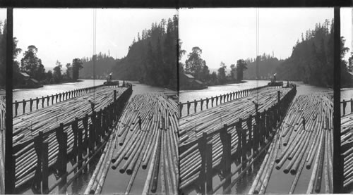 Building a Great Log Raft, Washington