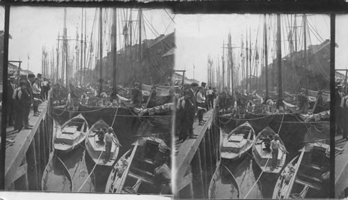 Scene among the Fishing Boats T. wharf, Boston, Mass