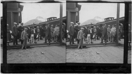 Buchanan Boys and " Frosty" Mascot of U. of Washington, who spends his summer in Skagway, Alaska