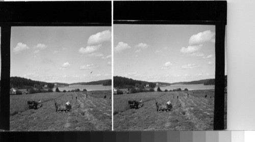 Dalsland, Sweden - Haying in Dalsland, Province of Southern Sweden