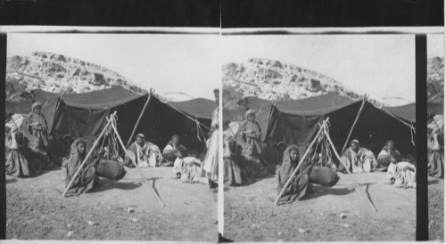 Bedouin Home. Woman churning. Palestine