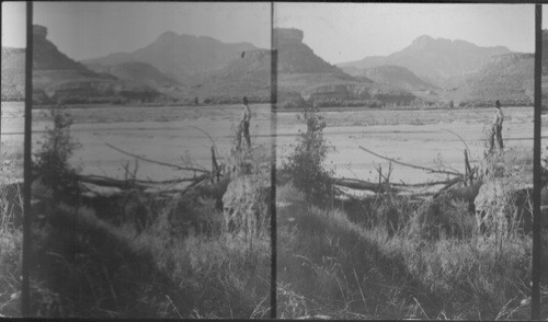 On Highway 9 miles from Zion Lodge. South to Smithsonian Buttes. Virgin River in foreground. Zion National Park. Utah. Zion