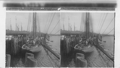 A Typical fishing schooner getting ready to sail. Gloucester, Miscellaneous, Mass