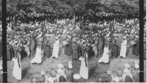 Ali Kaka dancers at Arab Market- Zakazik. Egypt