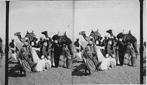 The Bedonni following a tourist at Gizeh Pyramids, Egypt. (Cairo)