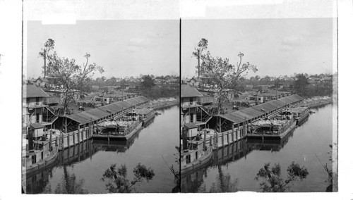 River Barges Laden With the Crop of Texas Cotton Fields. Texas