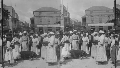 Pig Market - Barbados