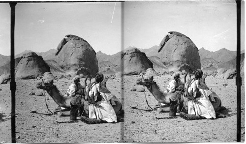 Bedouin at Prayer before Sunset in the Arabian Desert, Palestine