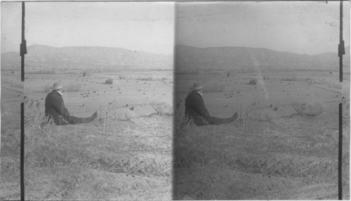 Tom Darias' cattle ranch. Boise, Idaho