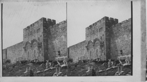 Walled-up Golden Gate, Jerusalem- Palestine