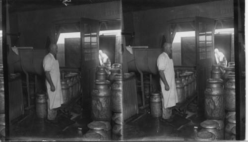 Filling the cans and loading cars after milk is cooled, Canada