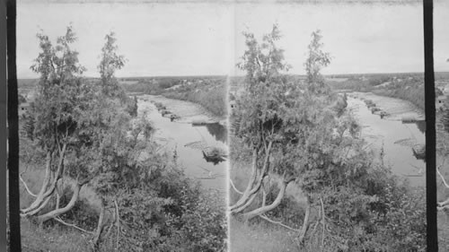 Nashwaak River - Marysville, New Brunswick, Canada