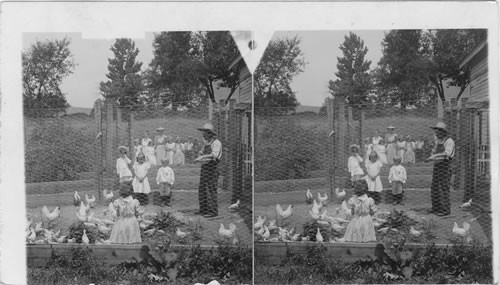 Fresh air children, feeding the chickens. Spring Valley . N.Y