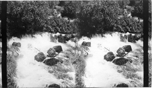 One of the sources of the Jordan - Caesarea Philippe, Syria