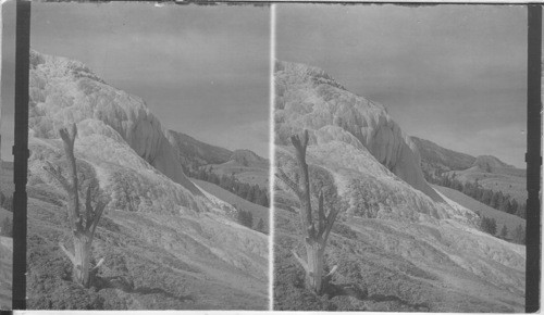 Jupiter Terrace. Yellowstone Park