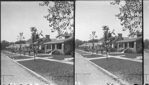 Neat Residences Along Roger's Park, Chicago, Ill